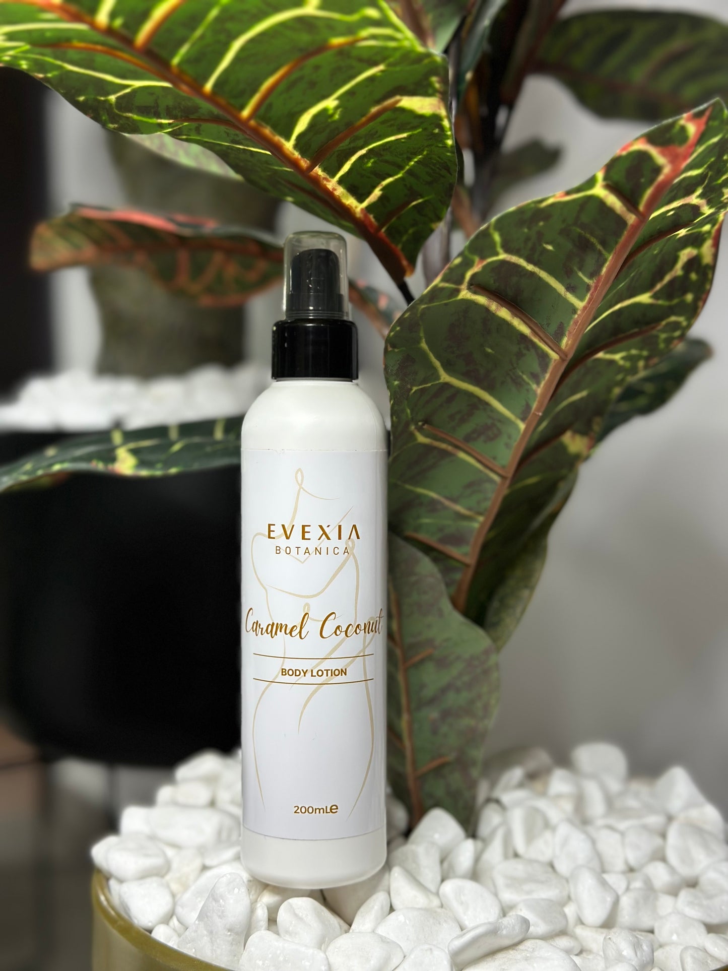 Coconut & Caramel Body Lotion